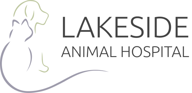 Lakeside Animal Hospital