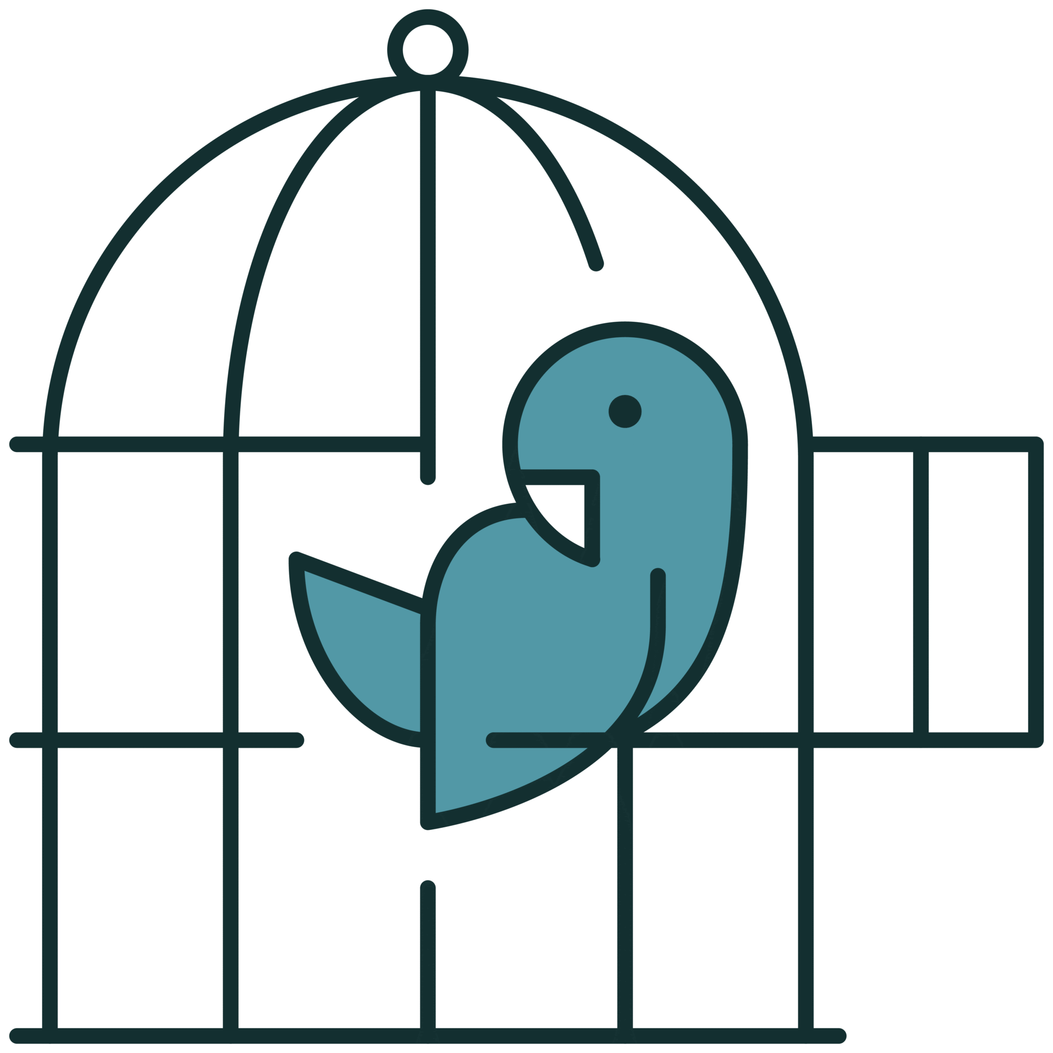 Bird Cage Icon