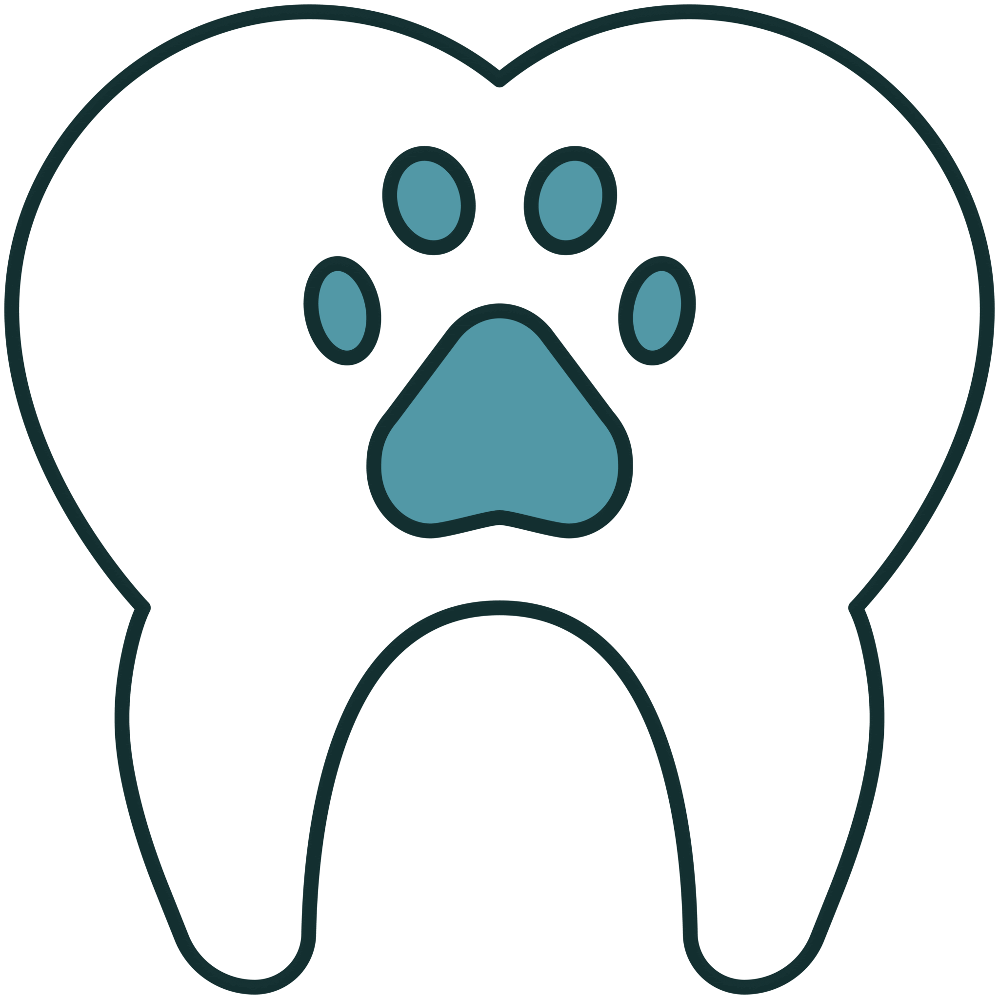 Tooth Icon