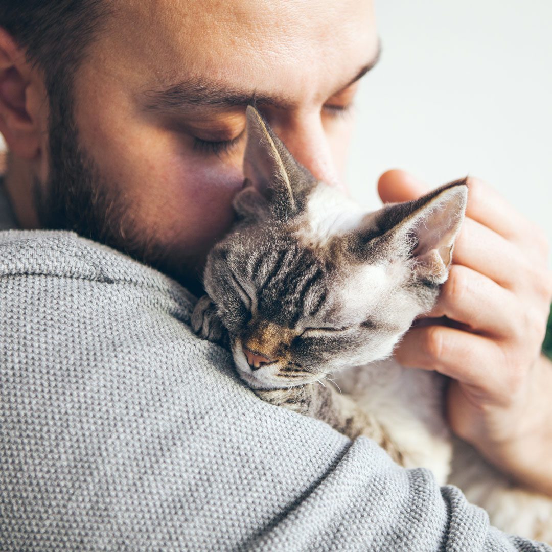 close up of cat resting on man's shoulder