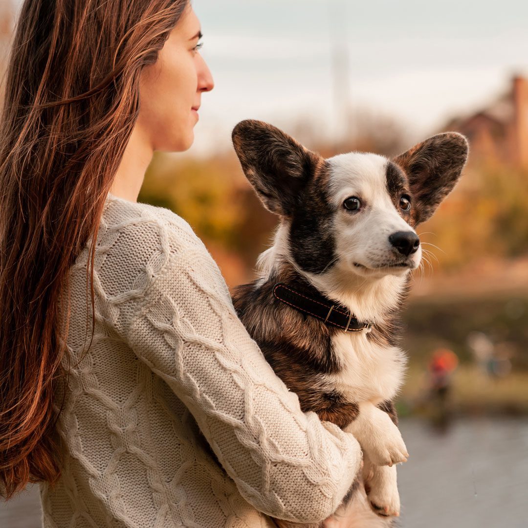young woman with long brown hair holding a Corgi dog